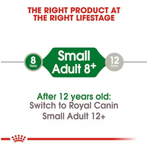 Royal Canin Small Adult 8+ Dry Dog Food