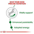 Load image into Gallery viewer, Royal Canin Small Adult 8+ Dry Dog Food
