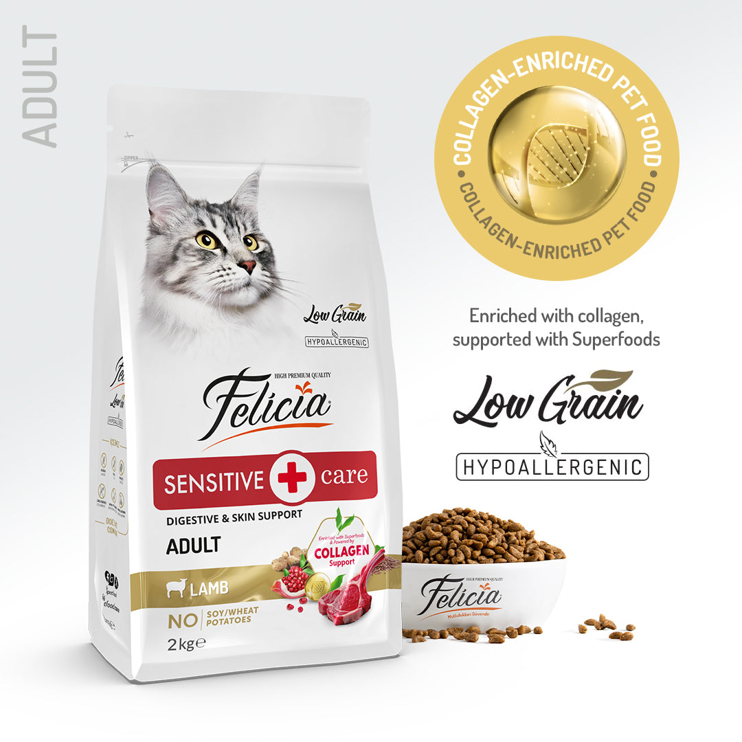 Felicia Low Grain Sensitive Care Adult Lamb Cat Food Hypoallergenic