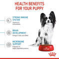 Load image into Gallery viewer, Royal Canin X-Small Puppy Dry Dog Food
