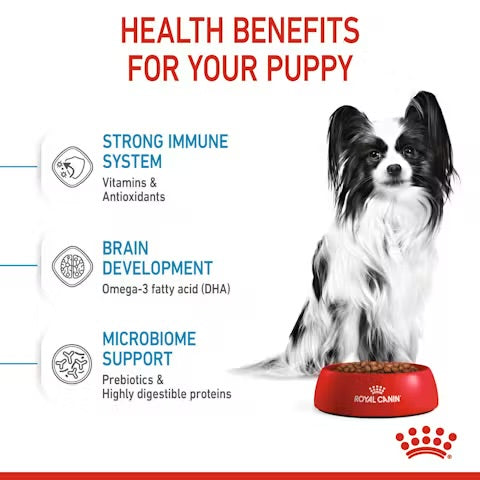 Royal Canin X-Small Puppy Dry Dog Food