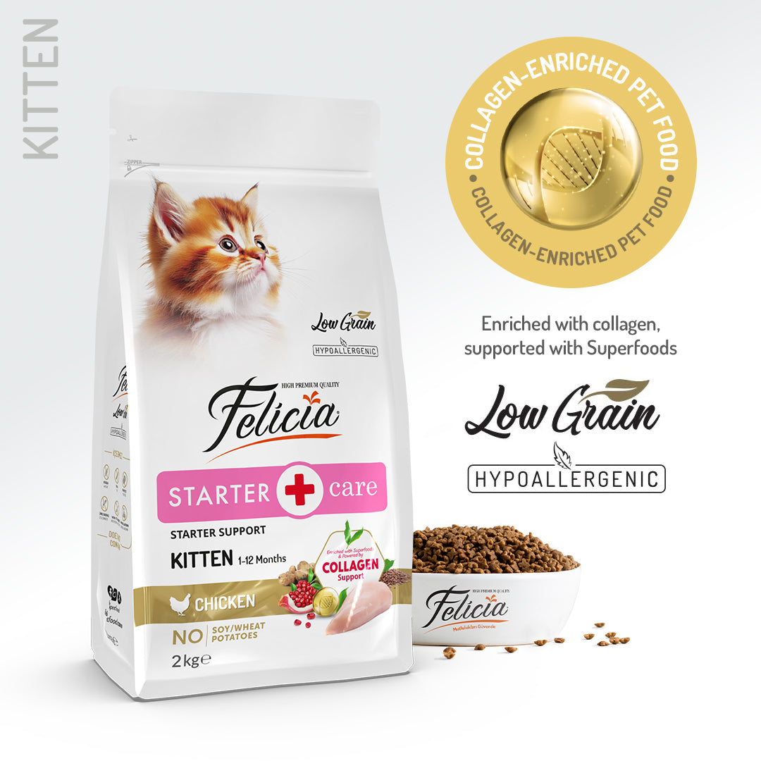 Felicia Low Grain Starter Care Kitten Chicken Cat Food  Hypoallergenic