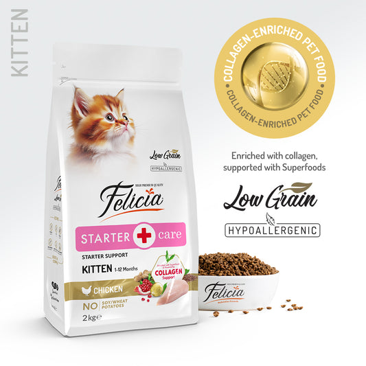 Felicia Low Grain Starter Care Kitten Chicken Cat Food  Hypoallergenic