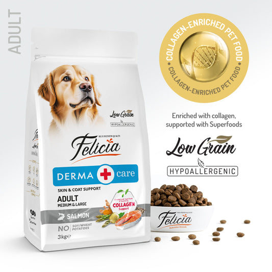 Felicia Derma Care Adult Salmon Medium and Large Dry Dog Food