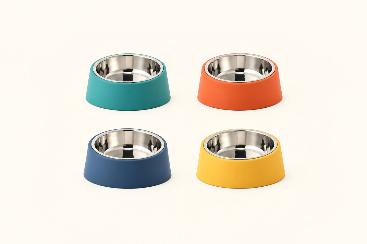 Tilted Stainless Steel Pet Bowl with Round Slanted Base