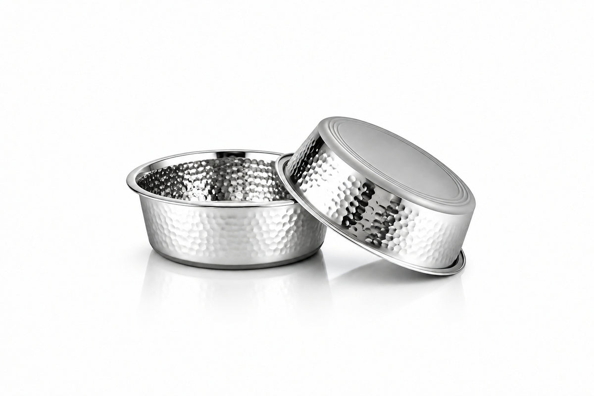 Stainless Steel Pet Bowl – Decorative Non-Skid Food & Water Bowl