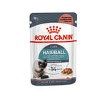 Royal Canin Hairball Care Gravy Wet Cat Food