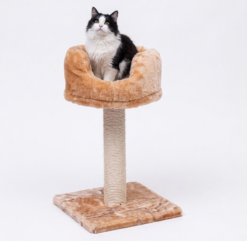 Single Perch Cat Scratching Post with Plush Round Bed