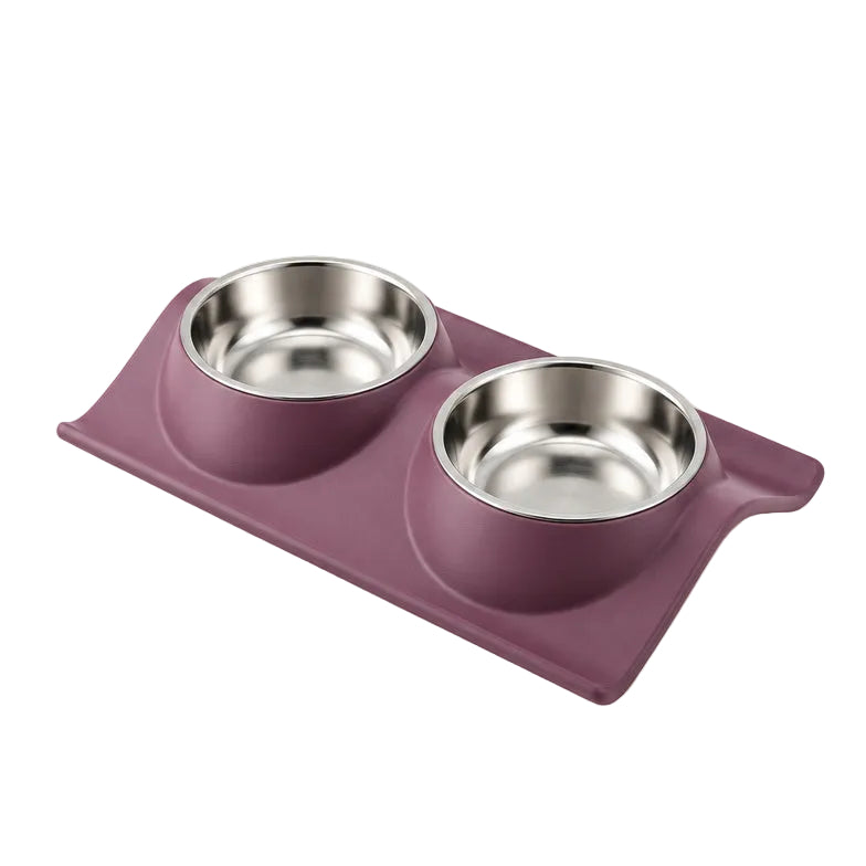 Double Stainless Steel Set with Spill-Proof Tray Base Food And Water Bowl