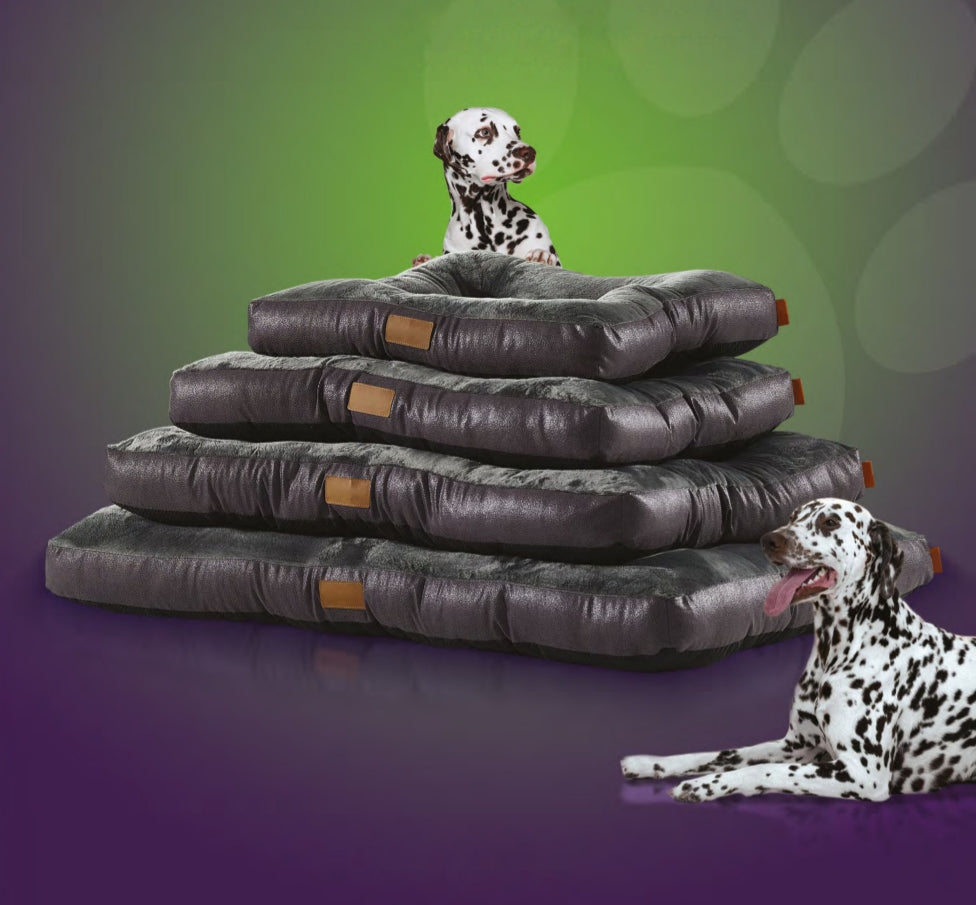 Koala Rectangular Soft Plush Lounge Pet Bed | BLACK