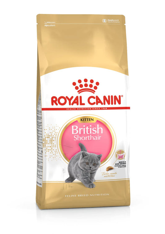 Royal Canin British Shorthair Kitten Dry Cat Food