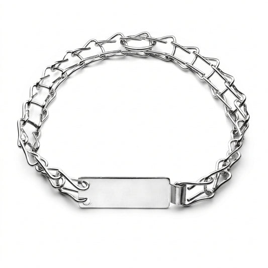 Heavy-Duty Stainless Steel Flat-Link Training Dog Collar